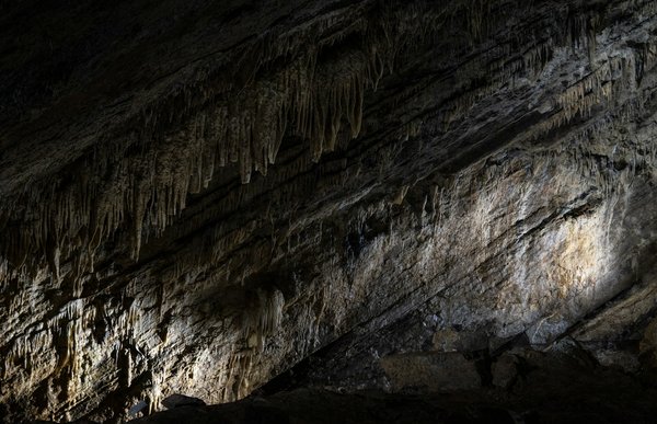 Comment organiser une visite des grottes préhistoriques de Lascaux, France?