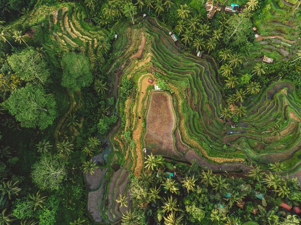 Où trouver une location de vacances à Bali avec des cours de batik et des retraites de méditation?